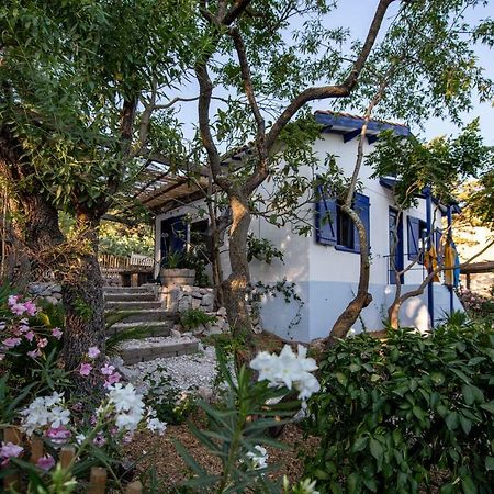 Les Maisons De Pecheurs Sète Kültér fotó